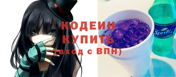 spice Бородино