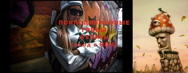 spice Бородино