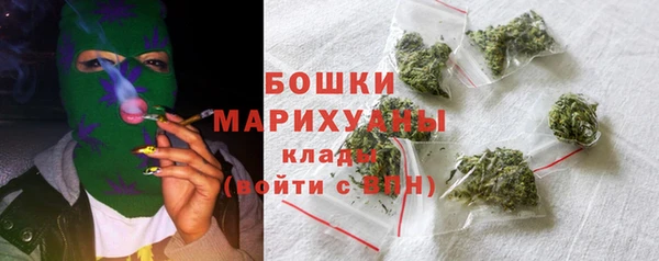 spice Бородино