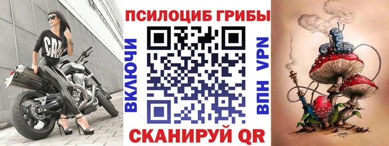 Псилоцибиновые грибы MAGIC MUSHROOMS Купить закладки Якутск